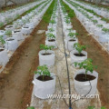 Branch pipe drip irrigator dripper